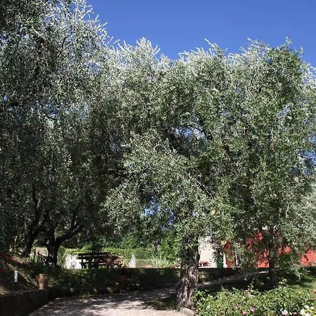 Guest house Casaliva Relais *