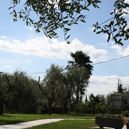 Casaliva Bardolino